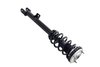 1337098R Suspension Strut and Coil Spring Assembly - image 4