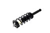 1345030R Suspension Strut and Coil Spring Assembly - image 3