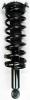1345397 Suspension Strut and Coil Spring Assembly - image 1