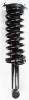 1345398 Suspension Strut and Coil Spring Assembly - image 1