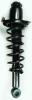1345404L Suspension Strut and Coil Spring Assembly - image 1