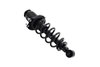 1345406L Suspension Strut and Coil Spring Assembly - image 2