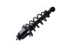1345406L Suspension Strut and Coil Spring Assembly - image 3