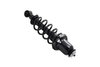 1345406L Suspension Strut and Coil Spring Assembly - image 4
