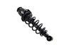 1345406R Suspension Strut and Coil Spring Assembly - image 2