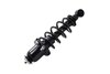 1345406R Suspension Strut and Coil Spring Assembly - image 3