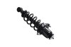 1345406R Suspension Strut and Coil Spring Assembly - image 4