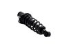 1345407L Suspension Strut and Coil Spring Assembly - image 2
