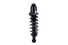 1345407R Suspension Strut and Coil Spring Assembly - image 1