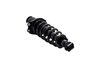 1345407R Suspension Strut and Coil Spring Assembly - image 2