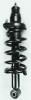 1345416L Suspension Strut and Coil Spring Assembly - image 1