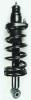 1345416R Suspension Strut and Coil Spring Assembly - image 1