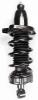 1345417R Suspension Strut and Coil Spring Assembly - image 1