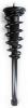 1345428 Suspension Strut and Coil Spring Assembly - image 1