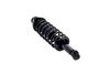 1345433 Suspension Strut and Coil Spring Assembly - image 2