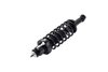 1345433 Suspension Strut and Coil Spring Assembly - image 3