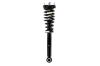 1345449R Suspension Strut and Coil Spring Assembly - image 1