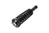 1345455 Suspension Strut and Coil Spring Assembly - image 3