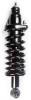 1345468R Suspension Strut and Coil Spring Assembly - image 1
