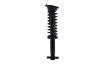 1345469L Suspension Strut and Coil Spring Assembly - image 1