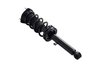 1345476L Suspension Strut and Coil Spring Assembly - image 2