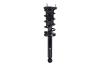 1345476R Suspension Strut and Coil Spring Assembly - image 1