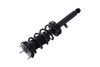 1345476R Suspension Strut and Coil Spring Assembly - image 3