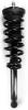 1345477 Suspension Strut and Coil Spring Assembly - image 1