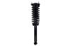 1345478 Suspension Strut and Coil Spring Assembly - image 1
