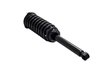 1345478 Suspension Strut and Coil Spring Assembly - image 2
