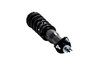 1345480R Suspension Strut and Coil Spring Assembly - image 4