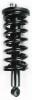 1345497 Suspension Strut and Coil Spring Assembly - image 1