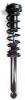 1345504 Suspension Strut and Coil Spring Assembly - image 1