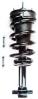 1345555 Suspension Strut and Coil Spring Assembly - image 1