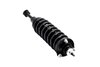 1345566L Suspension Strut and Coil Spring Assembly - image 4