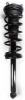 1345568 Suspension Strut and Coil Spring Assembly - image 1