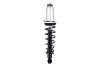 1345596L Suspension Strut and Coil Spring Assembly - image 1