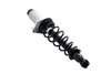 1345596L Suspension Strut and Coil Spring Assembly - image 2