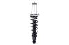 1345596R Suspension Strut and Coil Spring Assembly - image 1