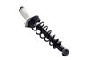 1345596R Suspension Strut and Coil Spring Assembly - image 2