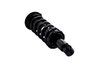 1345681 Suspension Strut and Coil Spring Assembly - image 2