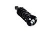 1345681 Suspension Strut and Coil Spring Assembly - image 4