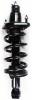 1345688R Suspension Strut and Coil Spring Assembly - image 1