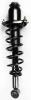 1345689R Suspension Strut and Coil Spring Assembly - image 1