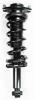 1345695 Suspension Strut and Coil Spring Assembly - image 1