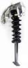 1345709R Suspension Strut and Coil Spring Assembly - image 1