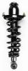 1345741R Suspension Strut and Coil Spring Assembly - image 1