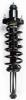 1345750 Suspension Strut and Coil Spring Assembly - image 1