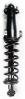 1345766 Suspension Strut and Coil Spring Assembly - image 1