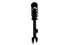 1345791 Suspension Strut and Coil Spring Assembly - image 1